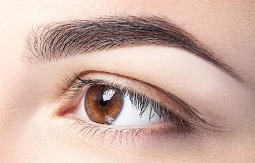 dash eyebrow